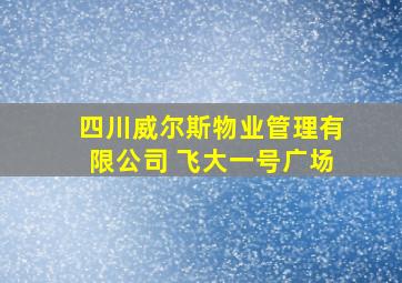 四川威尔斯物业管理有限公司 飞大一号广场